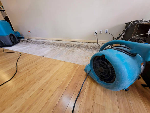 Reliable Basement Flood Cleanup contractor in Helendale, CA by Hirex Water Damage