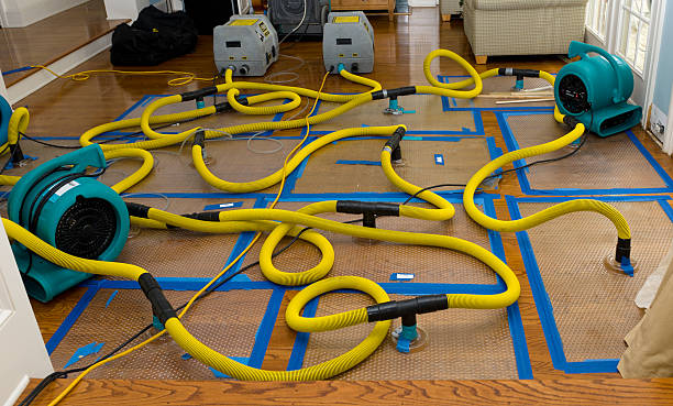 Professional Basement Flood Cleanup technician working in Helendale, CA